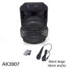 AK3907-parlante-portátil-con-micrófono-y-control-usb-aux-TF-20W-JBK1201